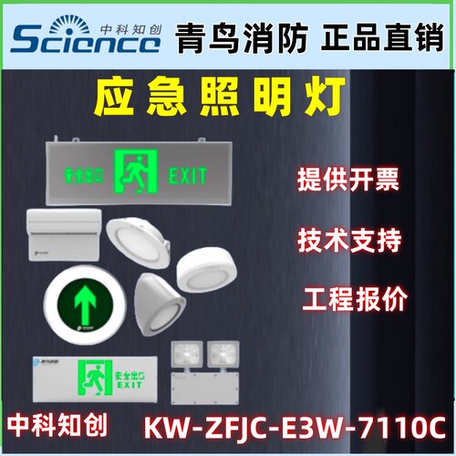 中科知创青鸟消防应急灯筒灯