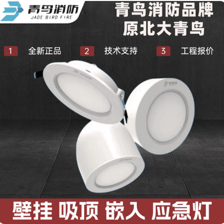 北大青鸟筒灯 应急灯 E5W-17Z6A照明灯 青鸟消防吸顶-E5W-17Z7A