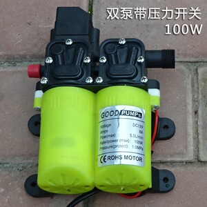 品100W洗车泵高压220V家用自吸式12V车用双泵抽水套装家用鱼缸抽