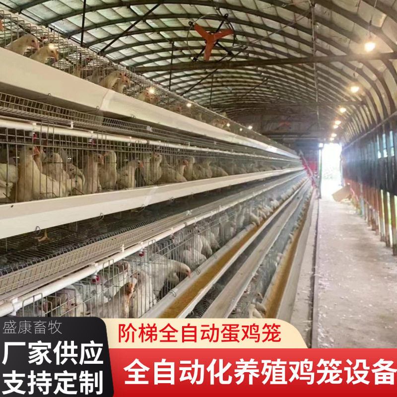 鸡笼养殖场自动化设备 鸡舍镀锌鸡笼子 院子养殖立式三层大号鸡用
