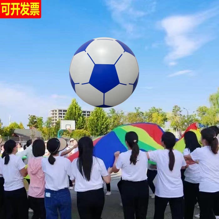 成人团建道具幼儿园亲子玩具足球