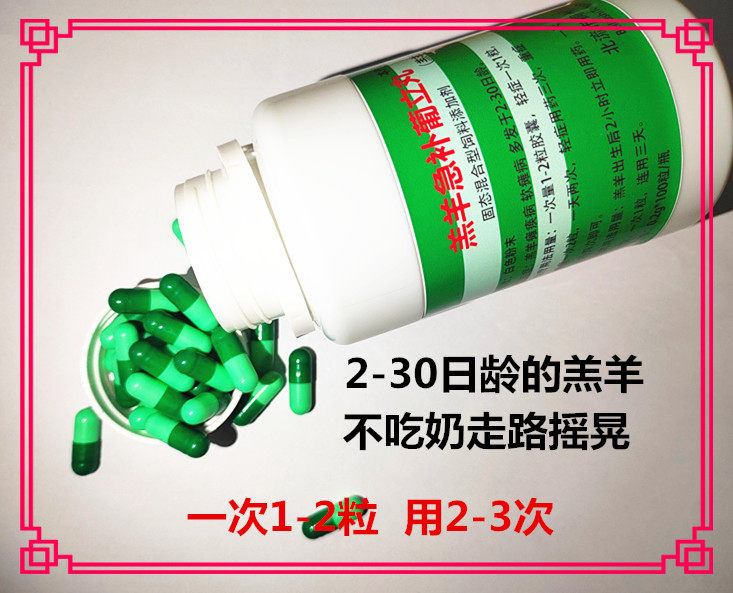 100粒羔羊半月瘫软灵羊羔软瘫站不起来不会吃奶急补胶囊软骨补钙