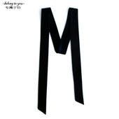 HJG属于你 优质丝绒丝巾发带百搭小领巾围巾礼物 细长条宽斜角个性