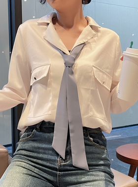 灰色丝带领花学院风手打飘带蝴蝶结雪纺衬衣配饰校服领带学生JK领