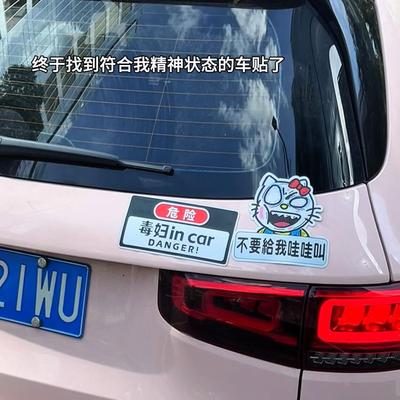 不要给我哇哇叫暴躁猫磁
