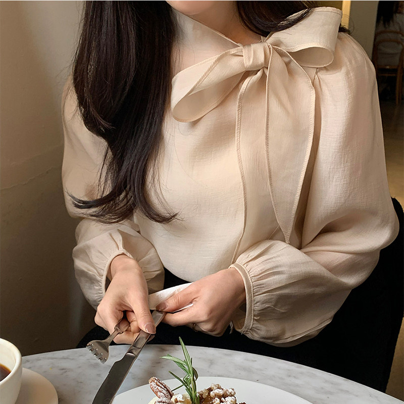 2025春夏东大门时尚百搭简约气质淑女发光滑套头飘带领长袖女衬衫
