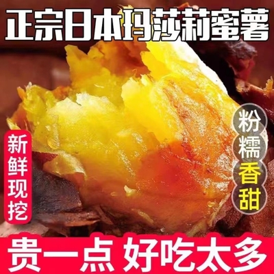 正宗日本玛莎莉红薯地瓜玛沙莉番薯新鲜软糯超甜大个的玛丽莎红薯