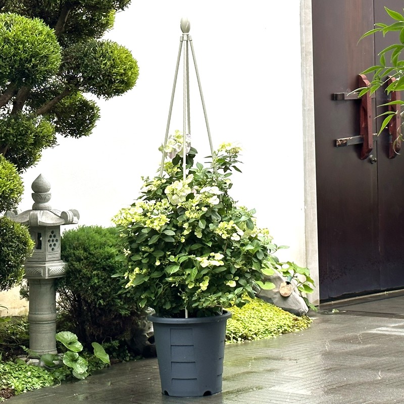 可拆式包塑四角花塔简易月季铁线莲植物爬藤花架庭院花园花卉支架