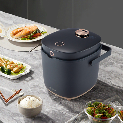 掌声2L小型家用宿舍低糖电饭煲