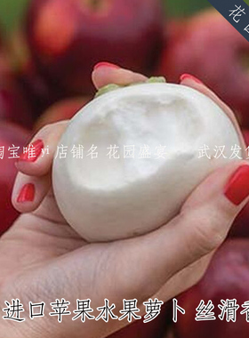 可盆栽苹果水果雪白萝卜芜菁种子丝滑香甜美国BURPEE进口