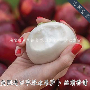 可盆栽苹果水果雪白萝卜芜菁种子丝滑香甜美国BURPEE进口