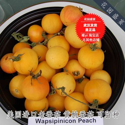 获奖黄桃3粒多汁传家宝番茄种子