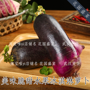 美味水果脆甜冰淇淋萝卜种子肉质脆甜紫红色秋季高产盆栽地栽