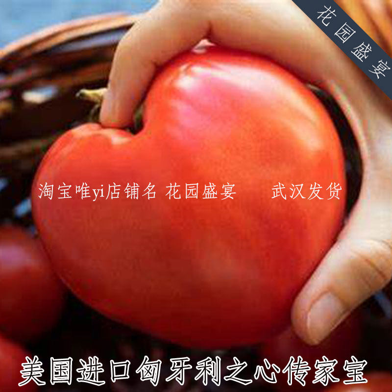 10粒种子传家宝可留种匈牙利牛心之心番茄多肉甜多汁非自封顶