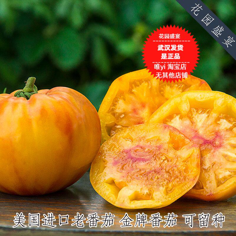 获奖金牌3粒多汁传家宝番茄种子