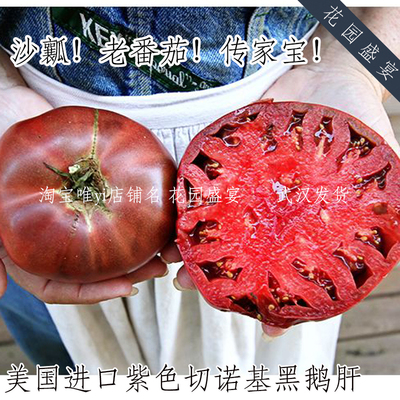 5粒紫色切诺基传家宝番茄种子