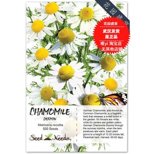 有机德国洋甘菊种子30粒+German Chamomile 美国传家宝进口 H3