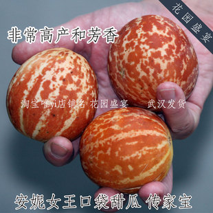 安妮女王口袋迷你小甜瓜种子芳香水果高产美国进口传家宝盆栽