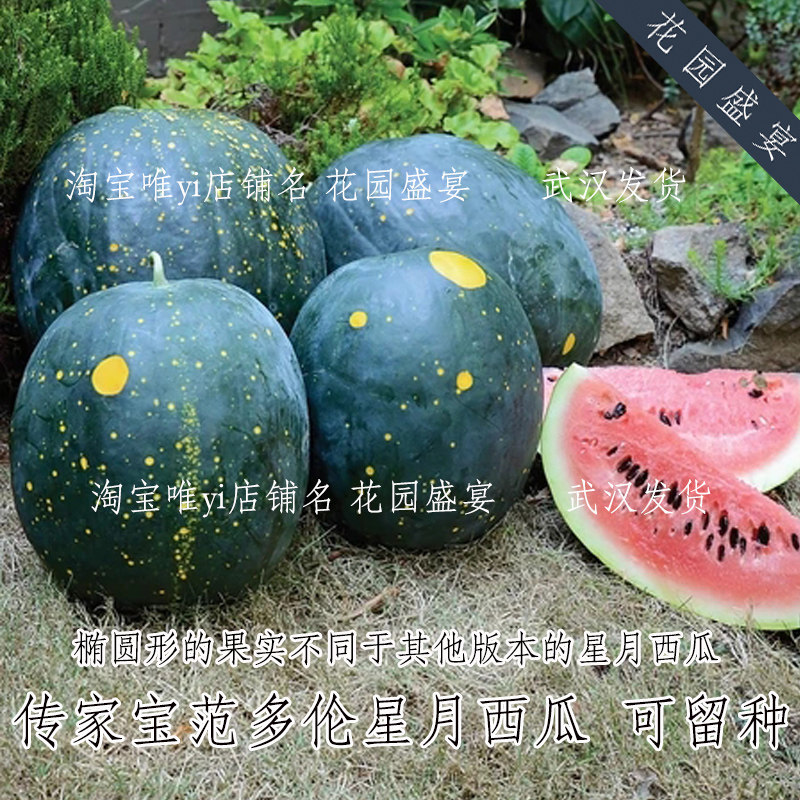 传家宝范多伦星月甜西瓜种子4粒 可留种老品种 保真美国进口,鲜花速递/花卉仿真/绿植园艺,家庭园艺种子,淘宝优惠券,粉丝福利购,淘宝优惠卷