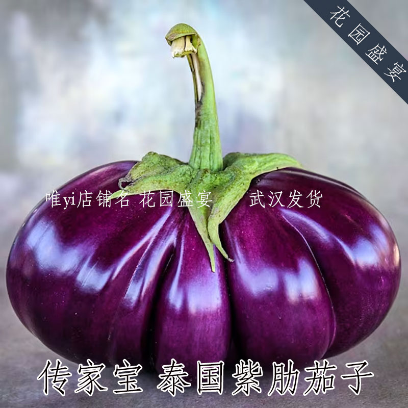 传家宝泰国紫肋茄子 进口蔬菜种子 可留种