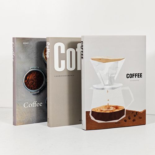 样板间咖啡系列装饰书摄影道具书