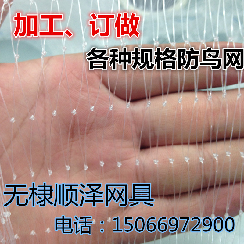 防鸟网免邮果园果树葡萄网稻谷鱼塘尼龙防护网 按斤更实惠防鸟网