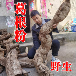 野生柴葛根粉深山挖正品农家天然葛粉女性早餐代餐神农架特产500g