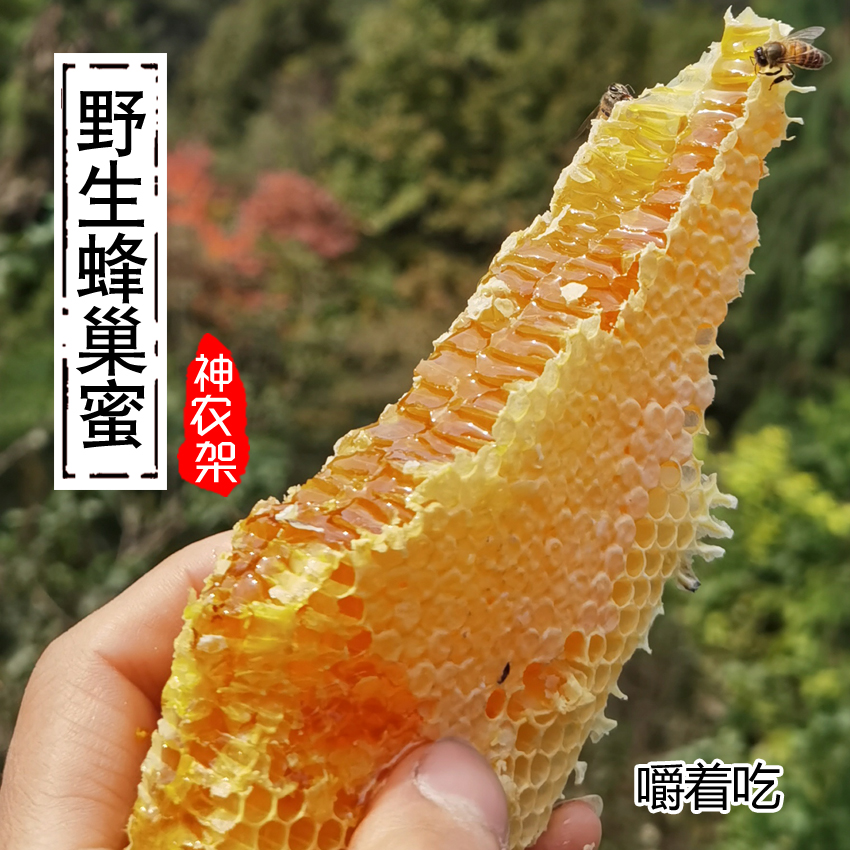 神农架蜂巢蜜百花蜜岩蜜土蜂蜜新老蜂巢蜜整块嚼着吃500克