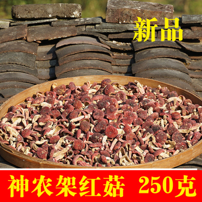 神农架新货十堰特产包邮野生红菇