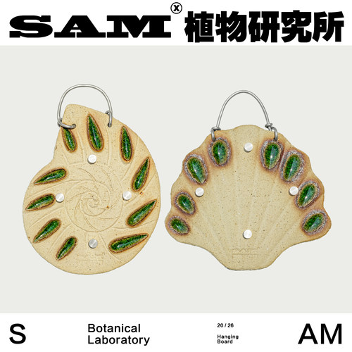 海螺植板手工粗陶花盆植板花园阳台室内家居装饰礼物