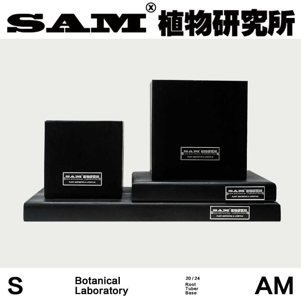 块根陈列台/实木底座/家居陈列装饰/植物高低错落陈列拍摄