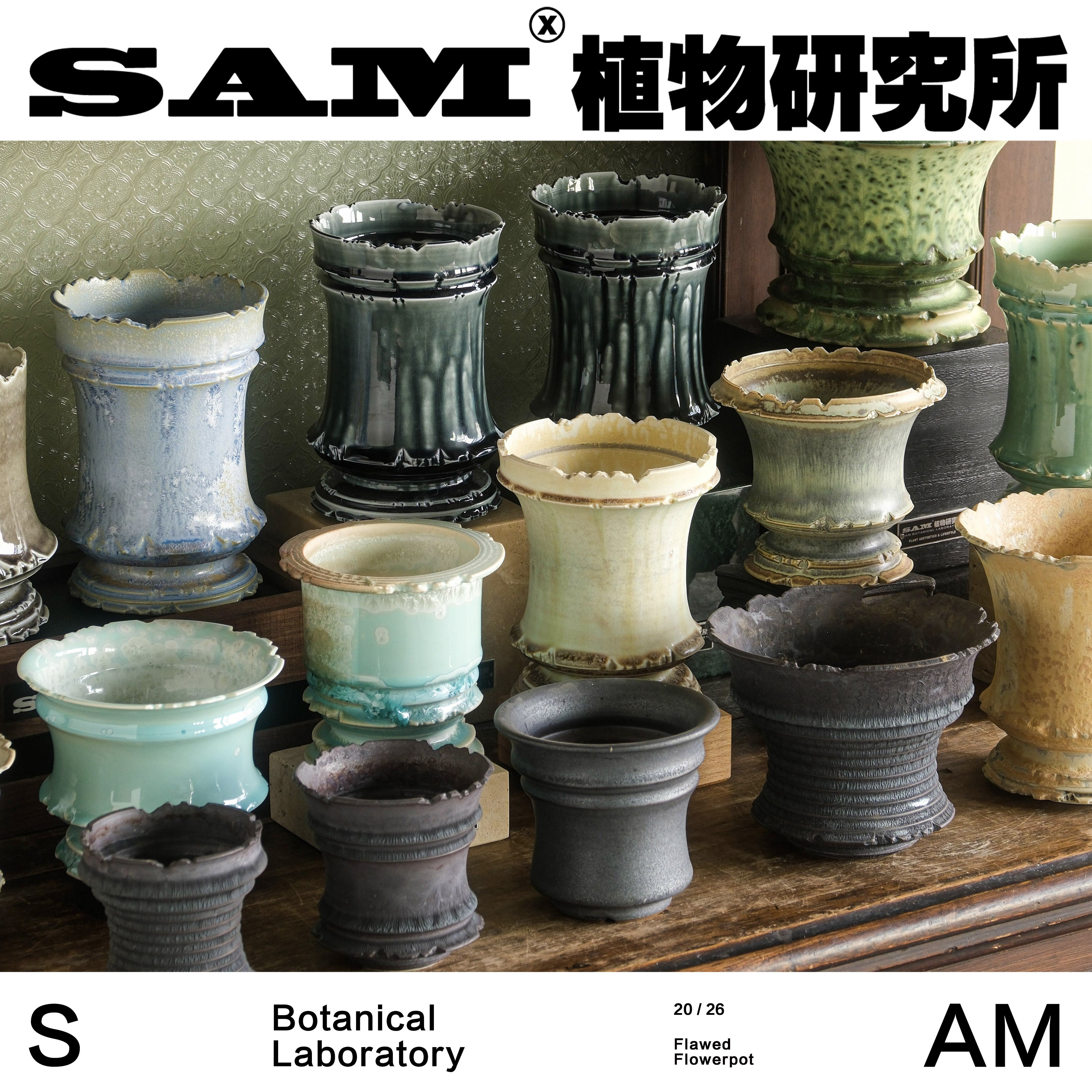 瑕疵块根盆/创意桌面摆件/花盆/家居装饰/艺术花盆,鲜花速递/花卉仿真/绿植园艺,花盆,淘宝优惠券,粉丝福利购,淘宝优惠卷