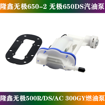 适用隆鑫无极650DS摩托车汽油泵无极500R/DS/AC 300GY燃油泵总成