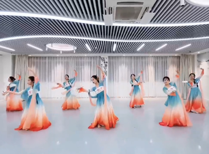 长安三万里国风舞蹈服汉服锦鲤古典演出练功舞蹈服飘逸纱衣大裙摆