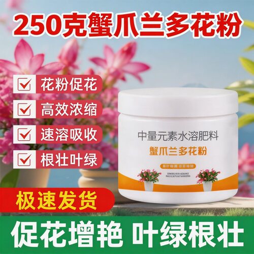 蟹爪兰开花粉叶子变软枯萎倒伏发黄根部腐烂促开花厂家发
