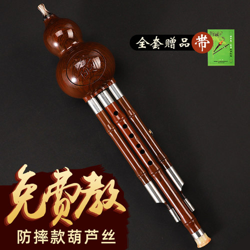 葫芦丝乐器初学C调小学生用成人