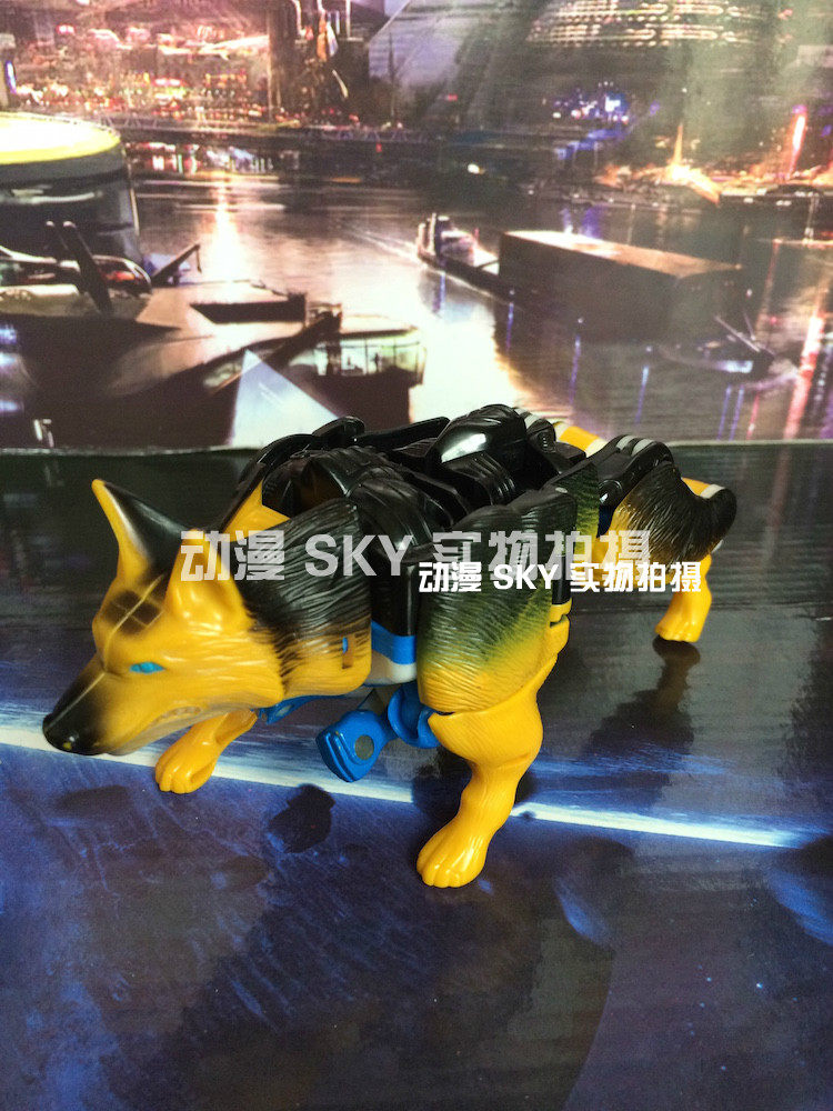 孩之宝变形金刚 超能勇士/猛兽侠 BW/BM  K-9/狼狗/警犬尸体在类目 模玩/动漫/周边/cos/桌游, 高达/机甲模型/机器人/变形类, 变形金刚模型专区中 - 来自Buy2taobao.com提供专业的淘宝代购服务