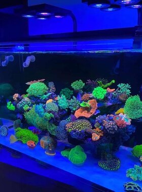 海水缸蓝光拍照滤镜贴膜