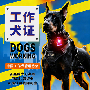 工作犬证狗证书犬籍证注册血统证件伴侣犬证搜救犬精神安抚慰犬证