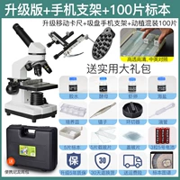 Держатель для телефона, образец, модернизированная версия, 100 штук