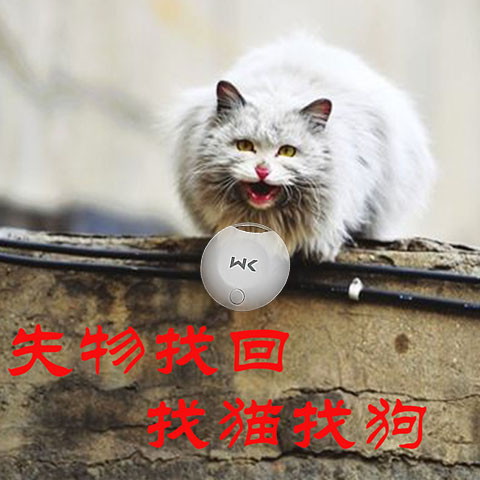 找失物寻找东西丢了失物品钥匙手机专业团队找猫狗宠物防丢追踪贴