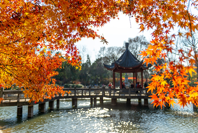 江苏南京夫子庙秦淮河城市风景海报制作房间寝室客厅装饰画B7890C