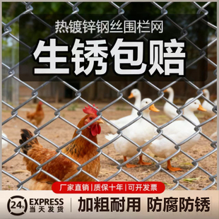 热镀锌铁丝网围栏栅栏户外养殖防护钢丝网不生锈圈果园养鸡拦牛羊