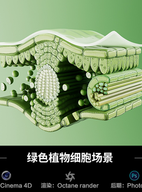【1347】绿色植物细胞场景c4d模型obj源文件OC渲染三维室内工程
