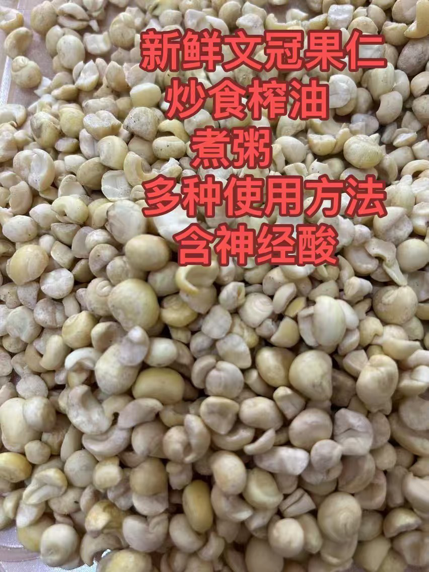 精选文冠果果仁榨油 文冠果种子可榨油可种植新种子