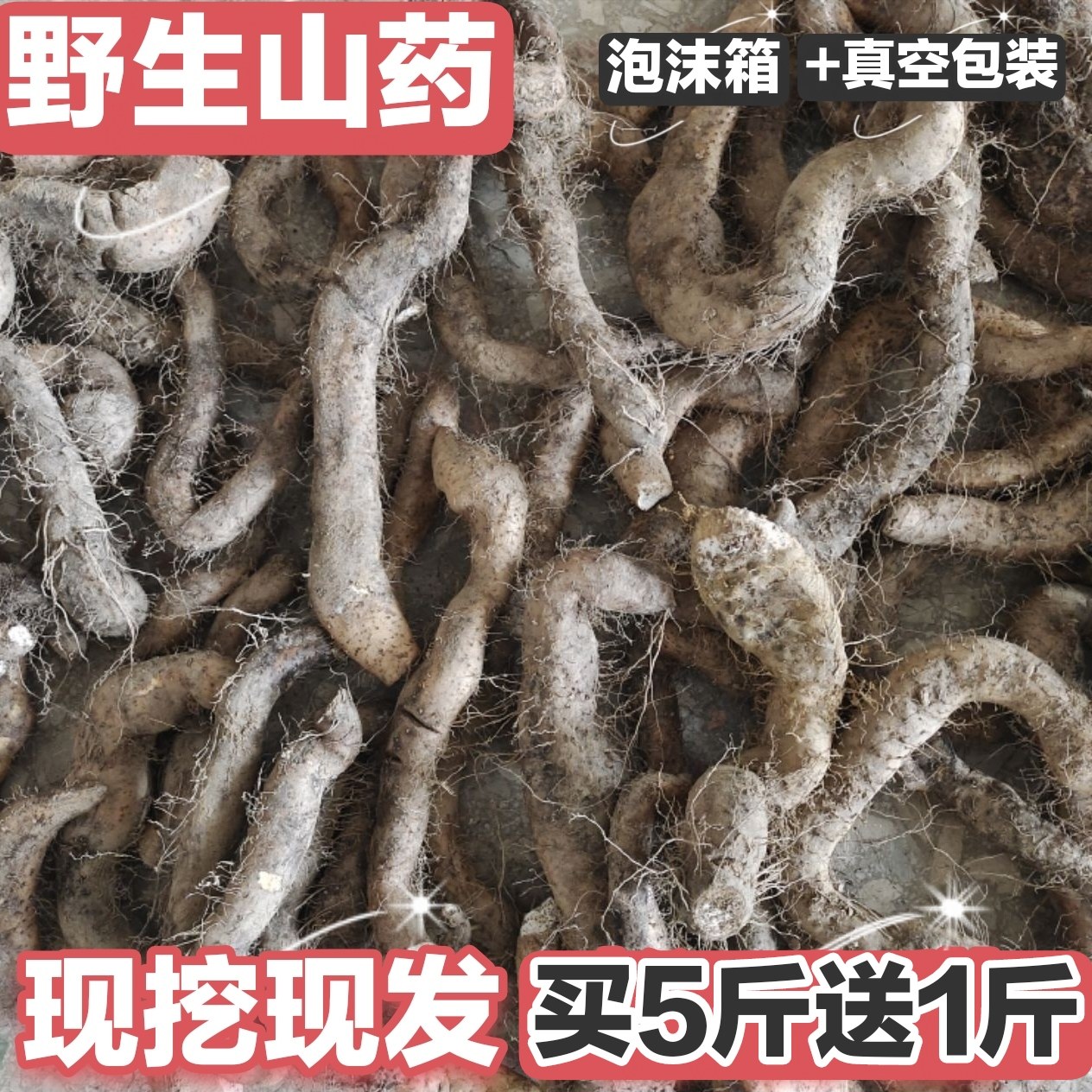 精选大个野生山药新鲜粉糯 土山药野山薯土淮怀山药 现挖现发包邮