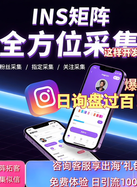 海外社媒矩阵ins采集裙发跨境拓客营销投放FB独立站TK广告WS精准