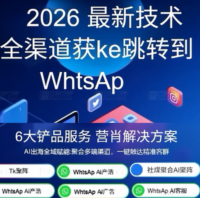 外贸客户开发软件海外营销WS裙发采集引截流拓客工具私信系统