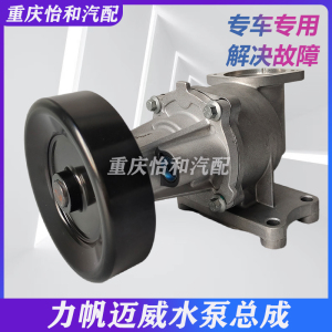 力帆乐途迈威水泵总成原装正品