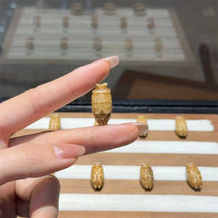 牛骨做旧大猪蹄子diy配件手工编织手绳项链文玩佛珠时尚配饰隔珠